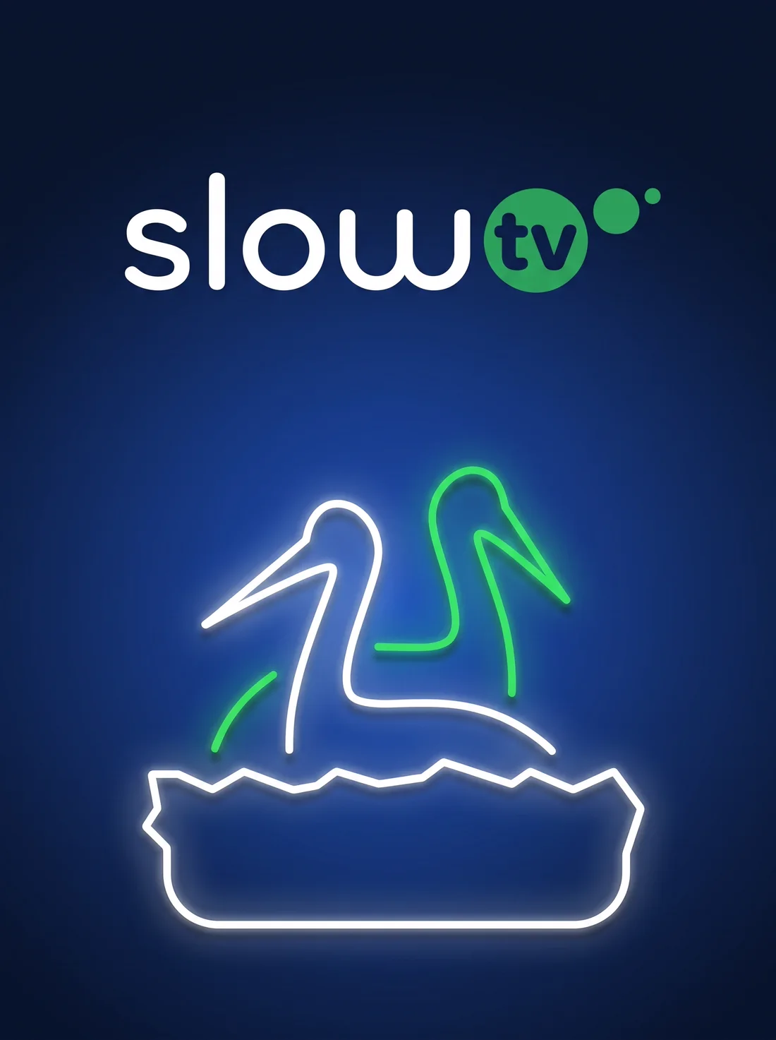 Slow TV