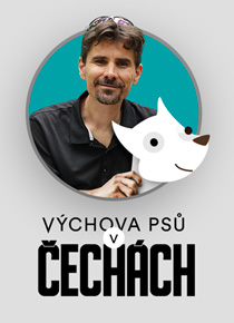 Výchova psů v Čechách