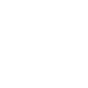 Česká spořitelna